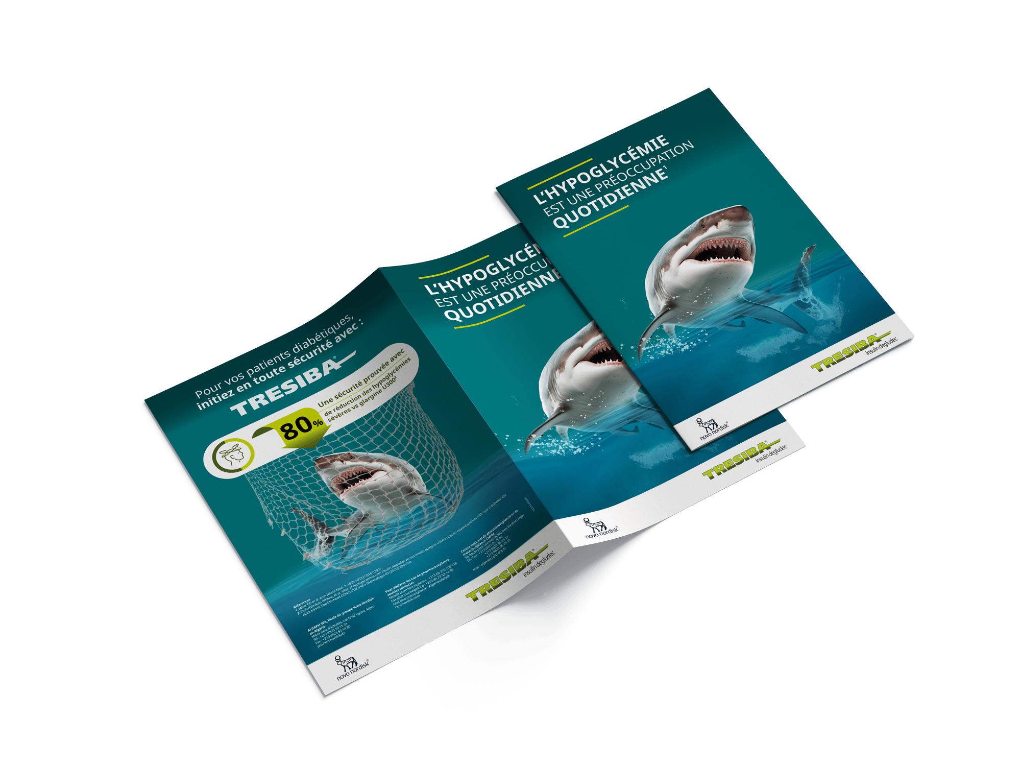 Bi-fold A4 brochure design — spread